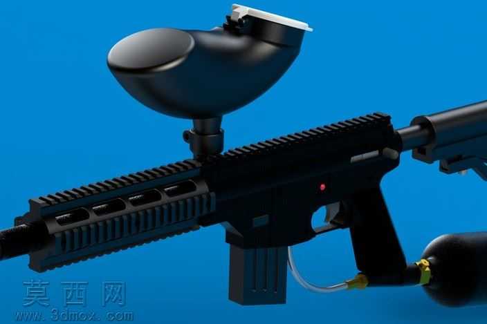 Tippmann��Ŀ����ʵ�����
