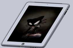IPadWiFI-3G
