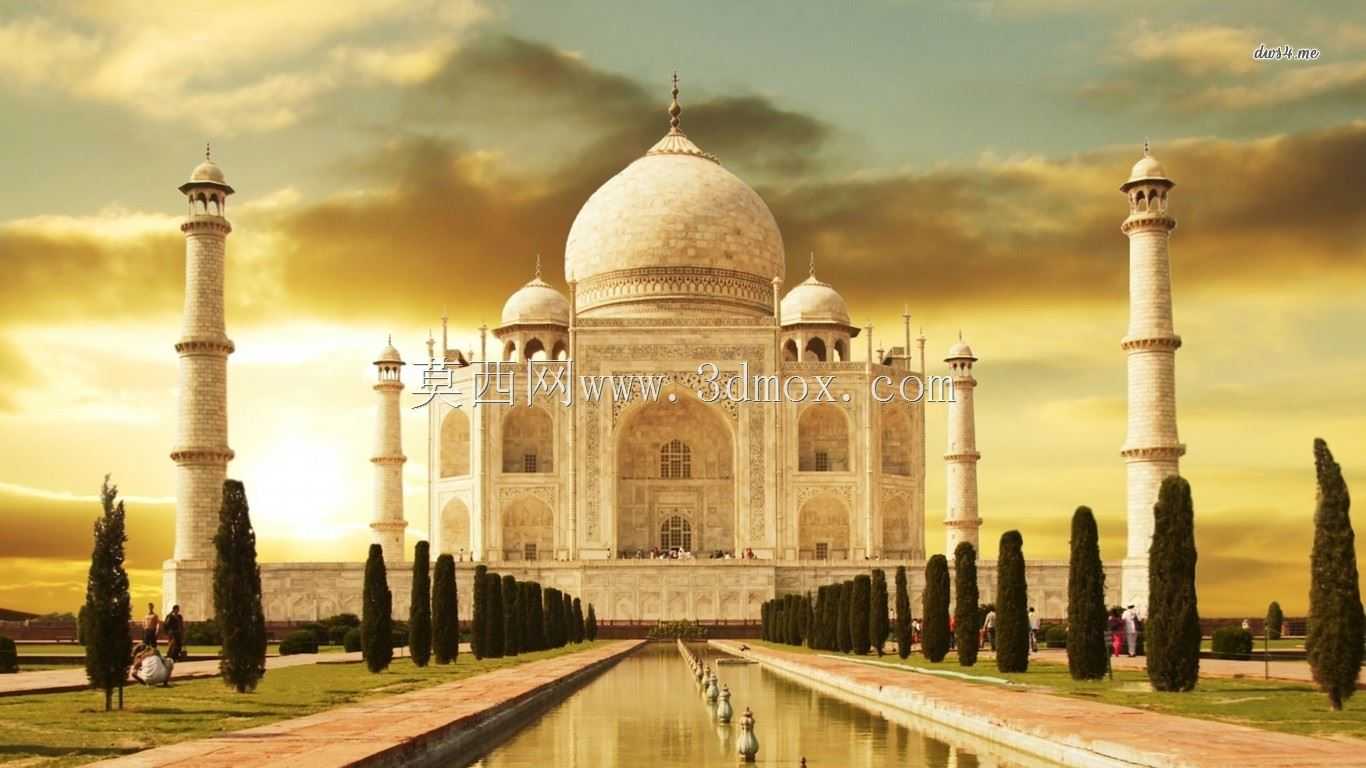 样品型号tajmahal