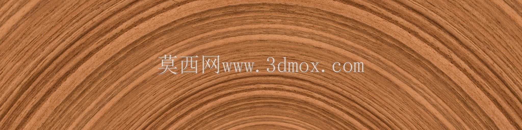T的3D房子