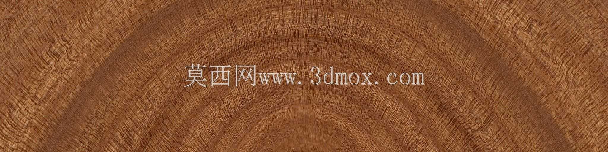 T的3D房子