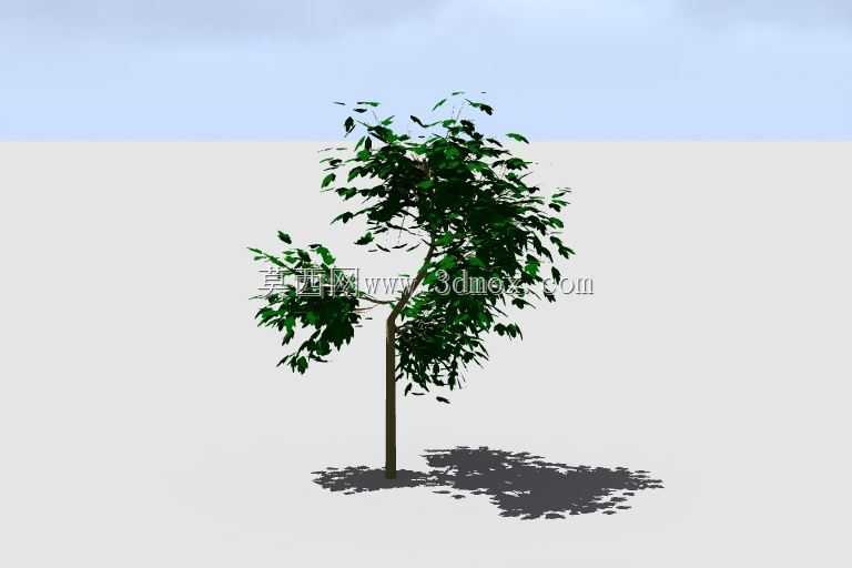 3D��1ģ��