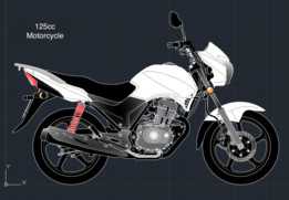 125 cc��ͷĦ�г�