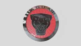 Jaguar�ձ꣨ǰ��դ��