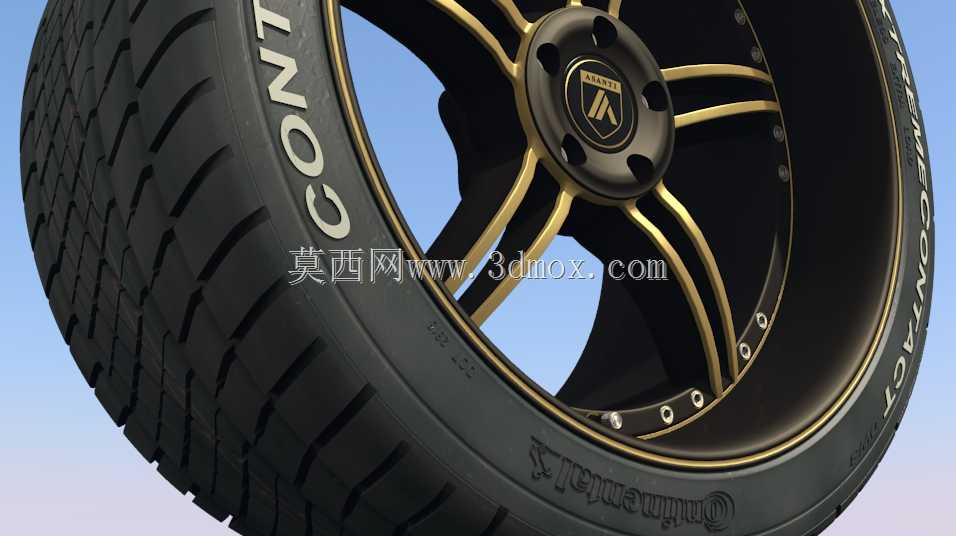 Asanti B1����w���Ӵ�ʽ��̥