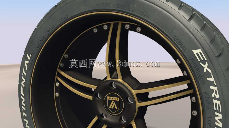 Asanti B1����w���Ӵ�ʽ��̥