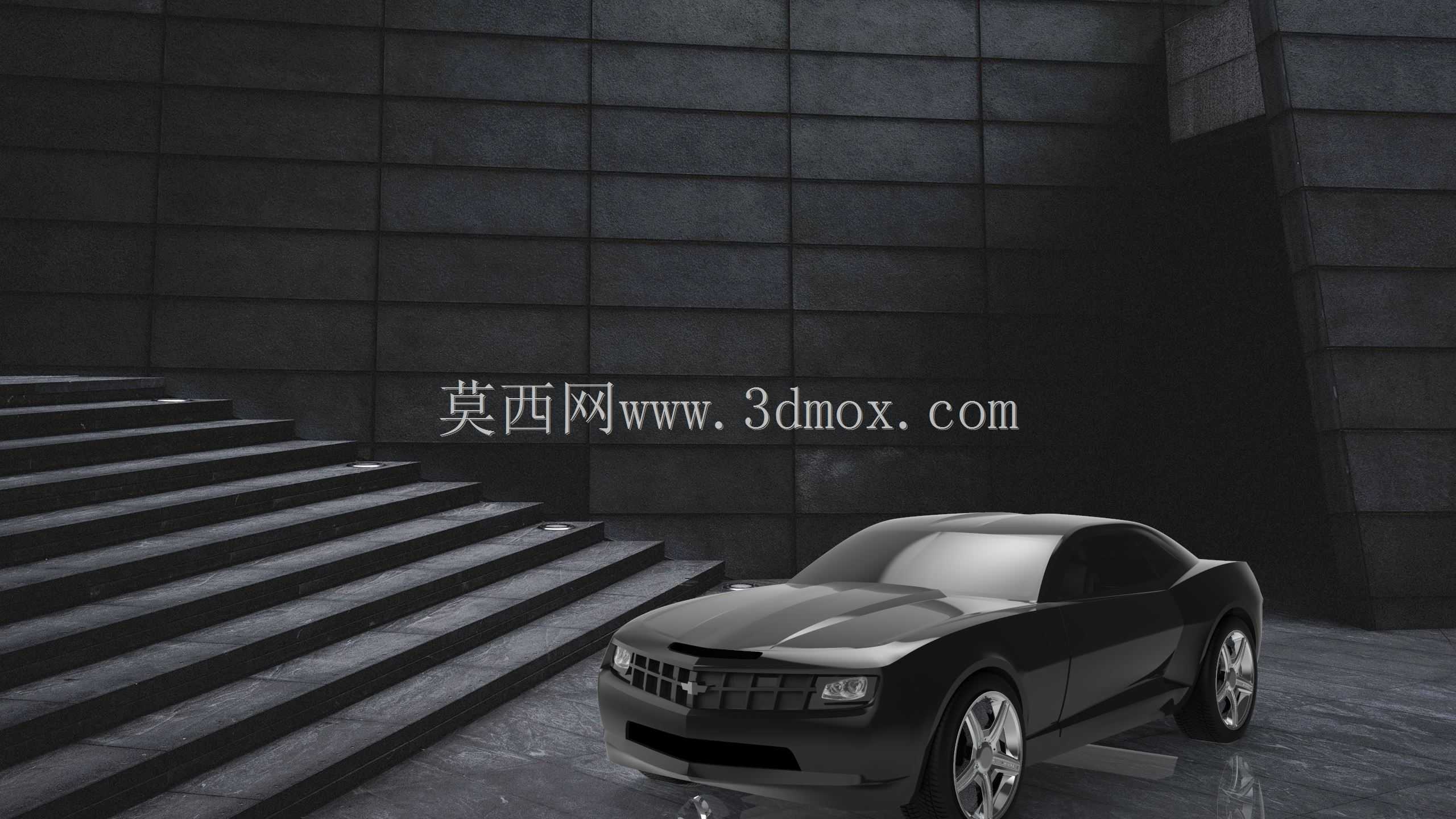 雪佛兰Camaro 2010