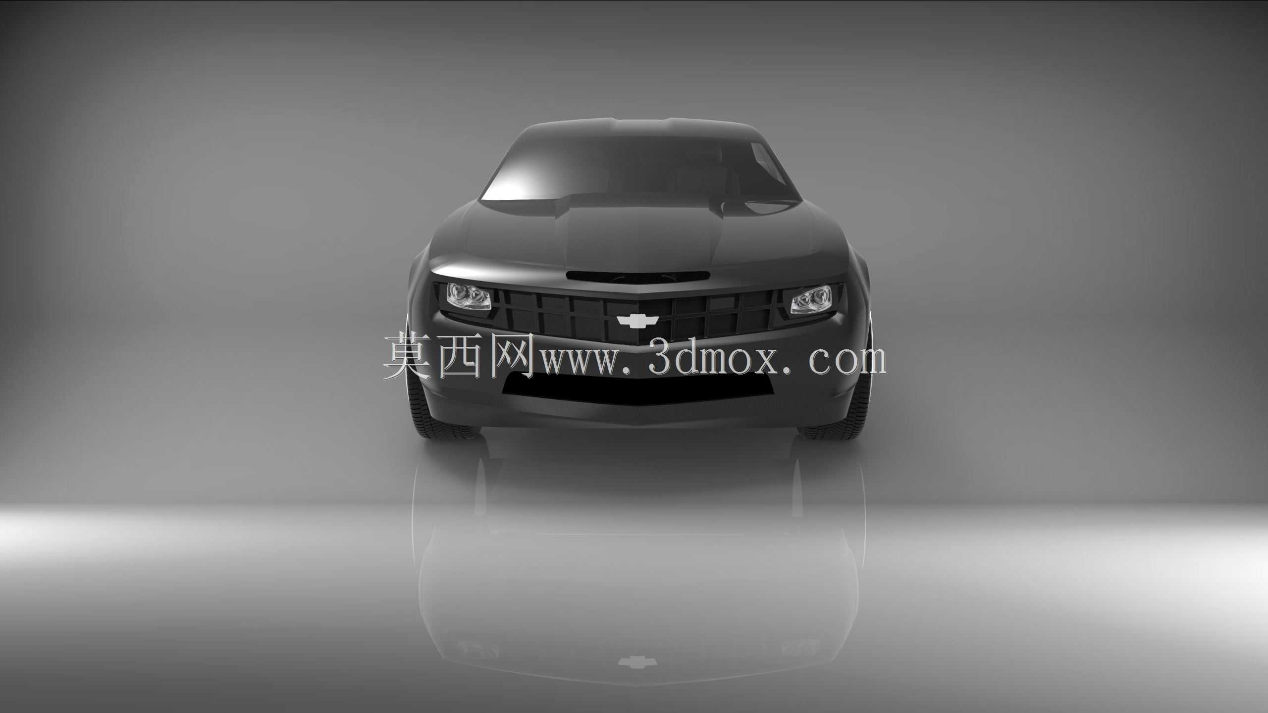 雪佛兰Camaro 2010