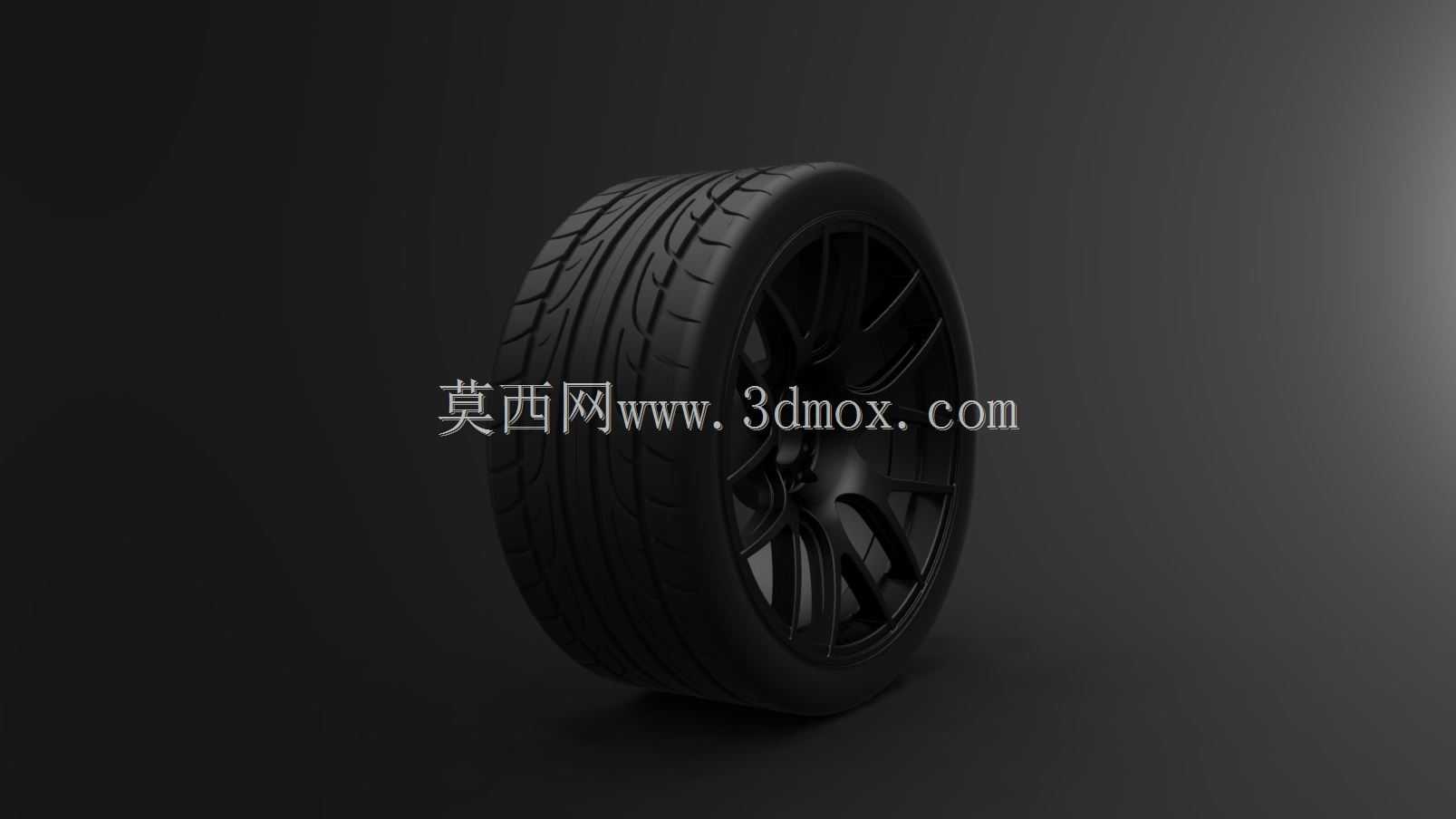 ����19 XXR