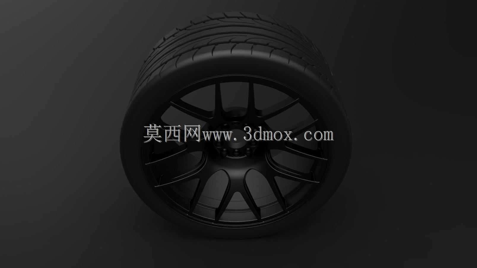 ����19 XXR