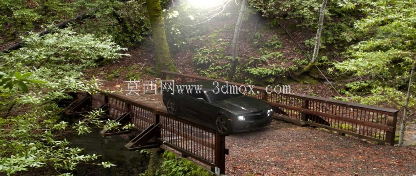 2010��Camaro