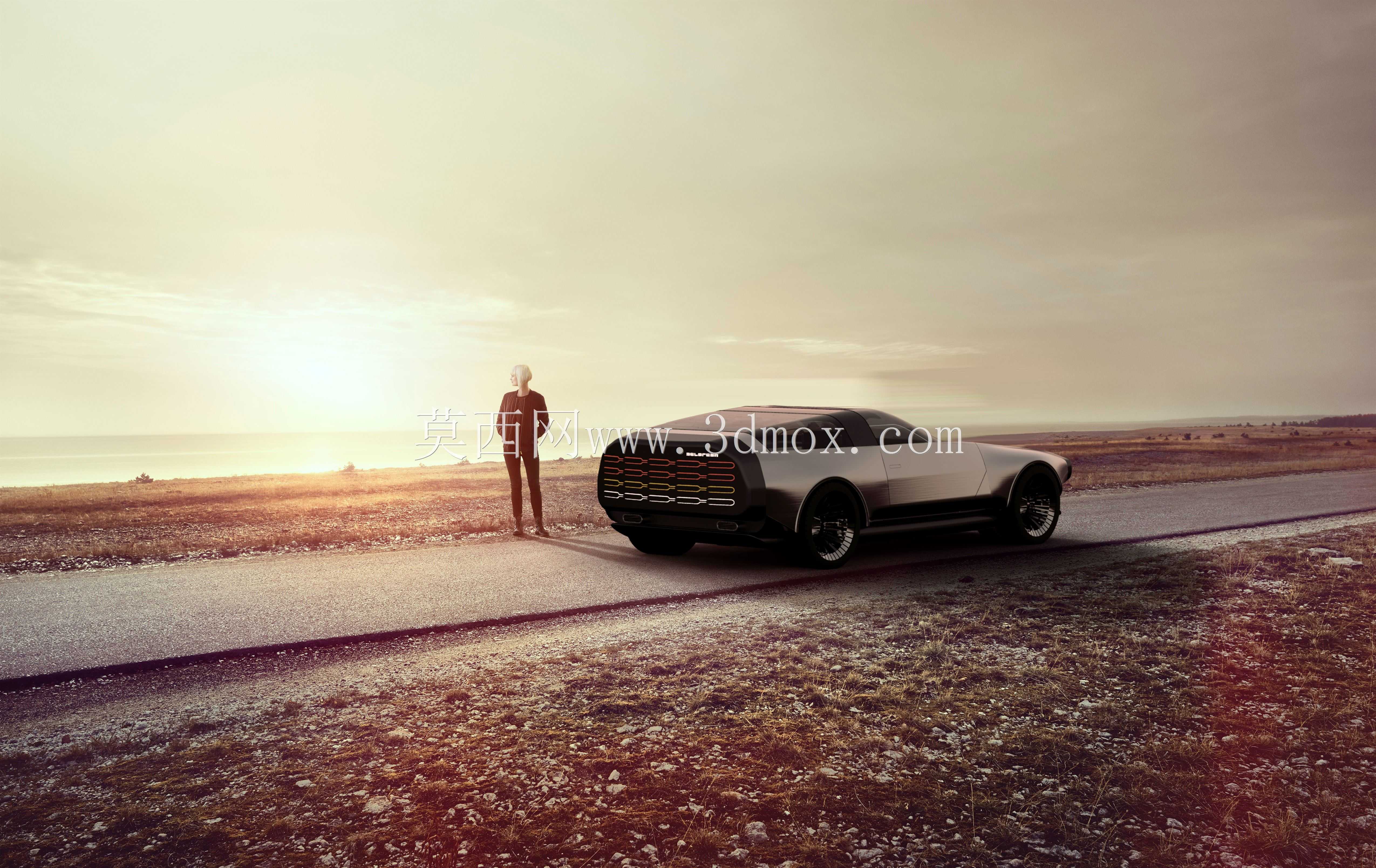 DMC 13��