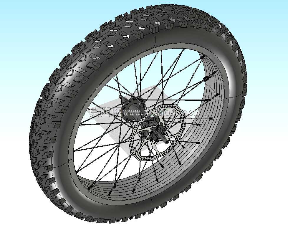 20'x4'Fatbikeǰ���飬��160mm Avid��ʽת��