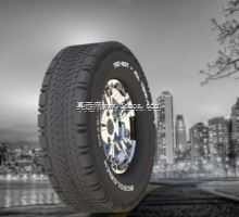 ��̥4x4ȫ���μ��ճ�