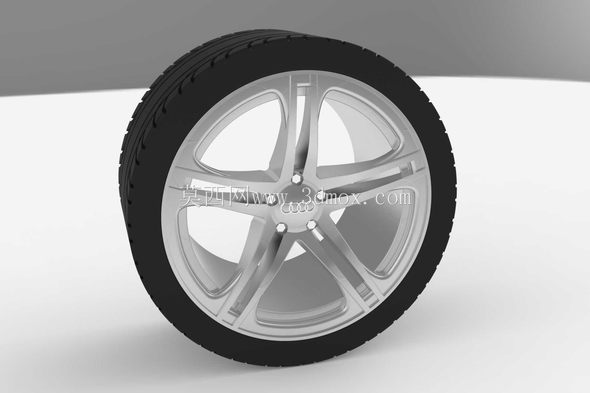 奥迪R8车轮型号305/25 R20