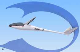 LELEKA-UR�������ϸ��ά�ṹ���