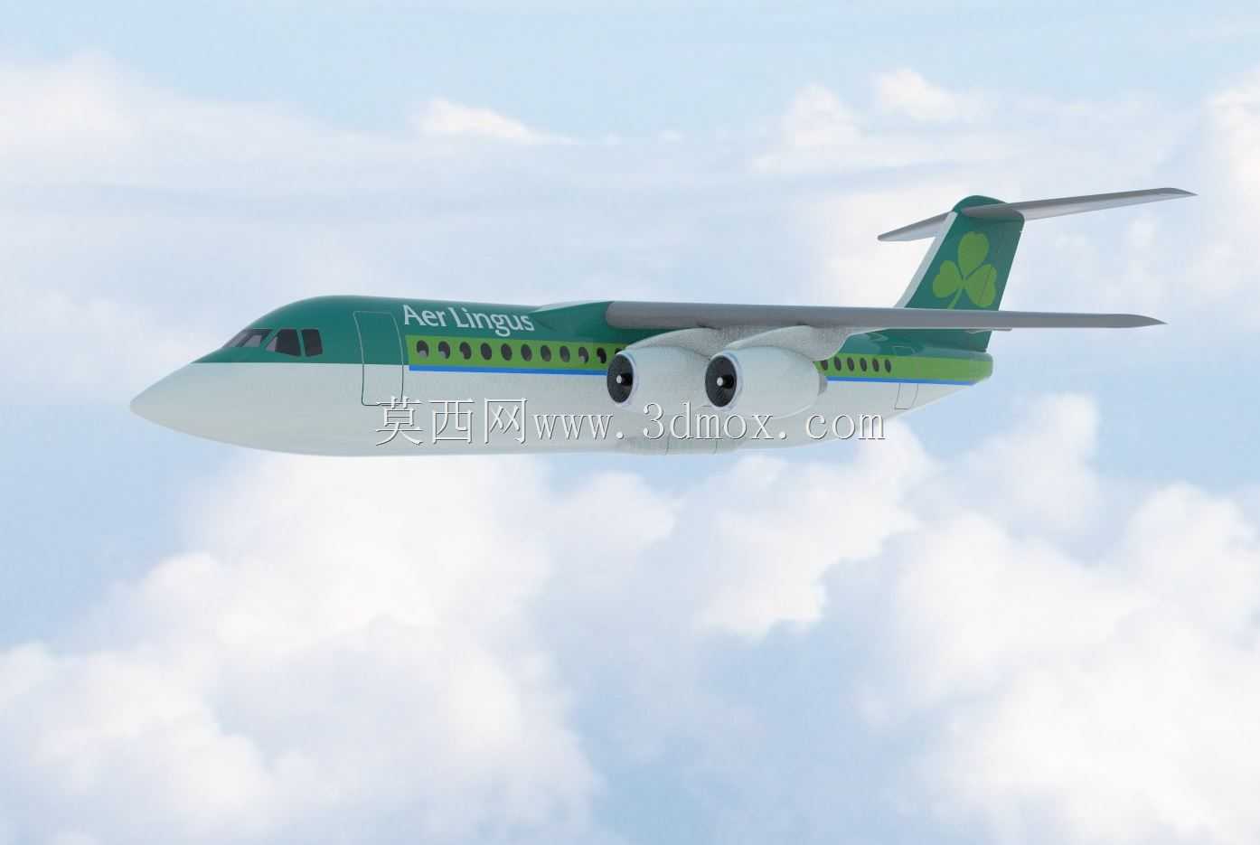 BAe 146 100爱尔兰航空公司