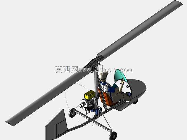 圆翅目昆虫模型