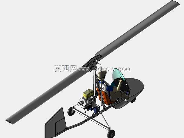 圆翅目昆虫模型