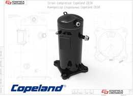 ZB 38����ѹ����Copel
