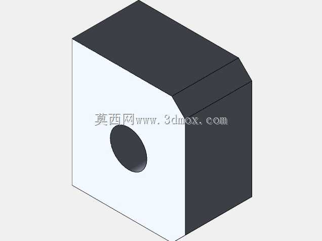 结肠造口术