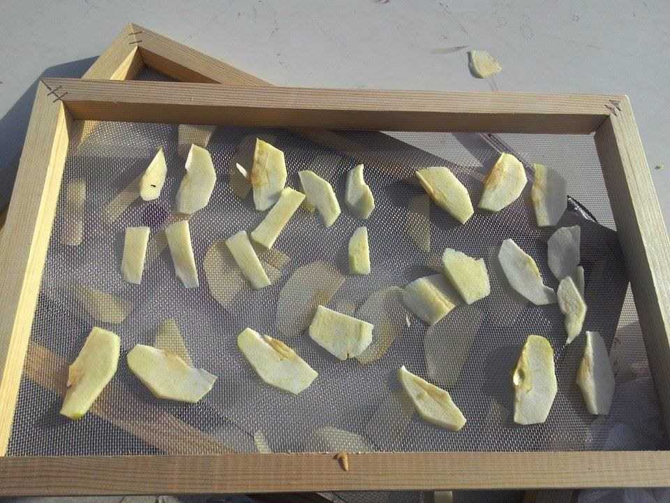 太阳能食品脱水机的设计与制造