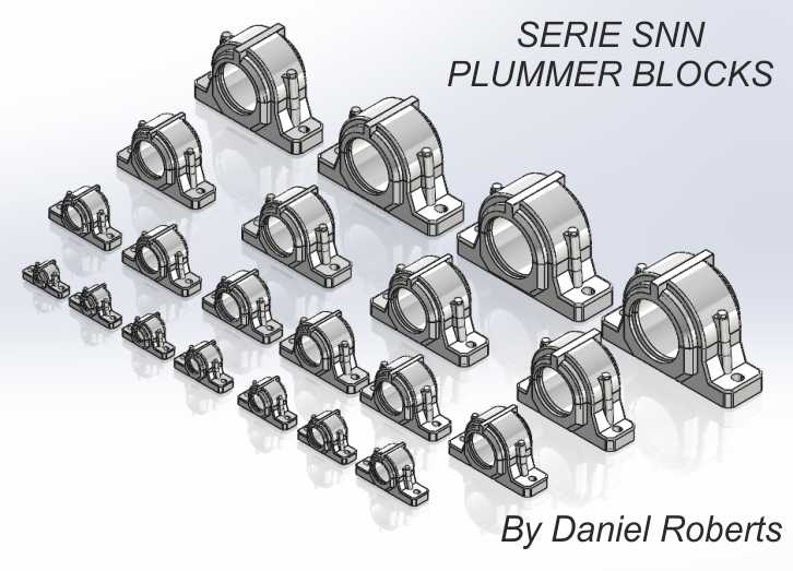 PLUMMER��SNN����