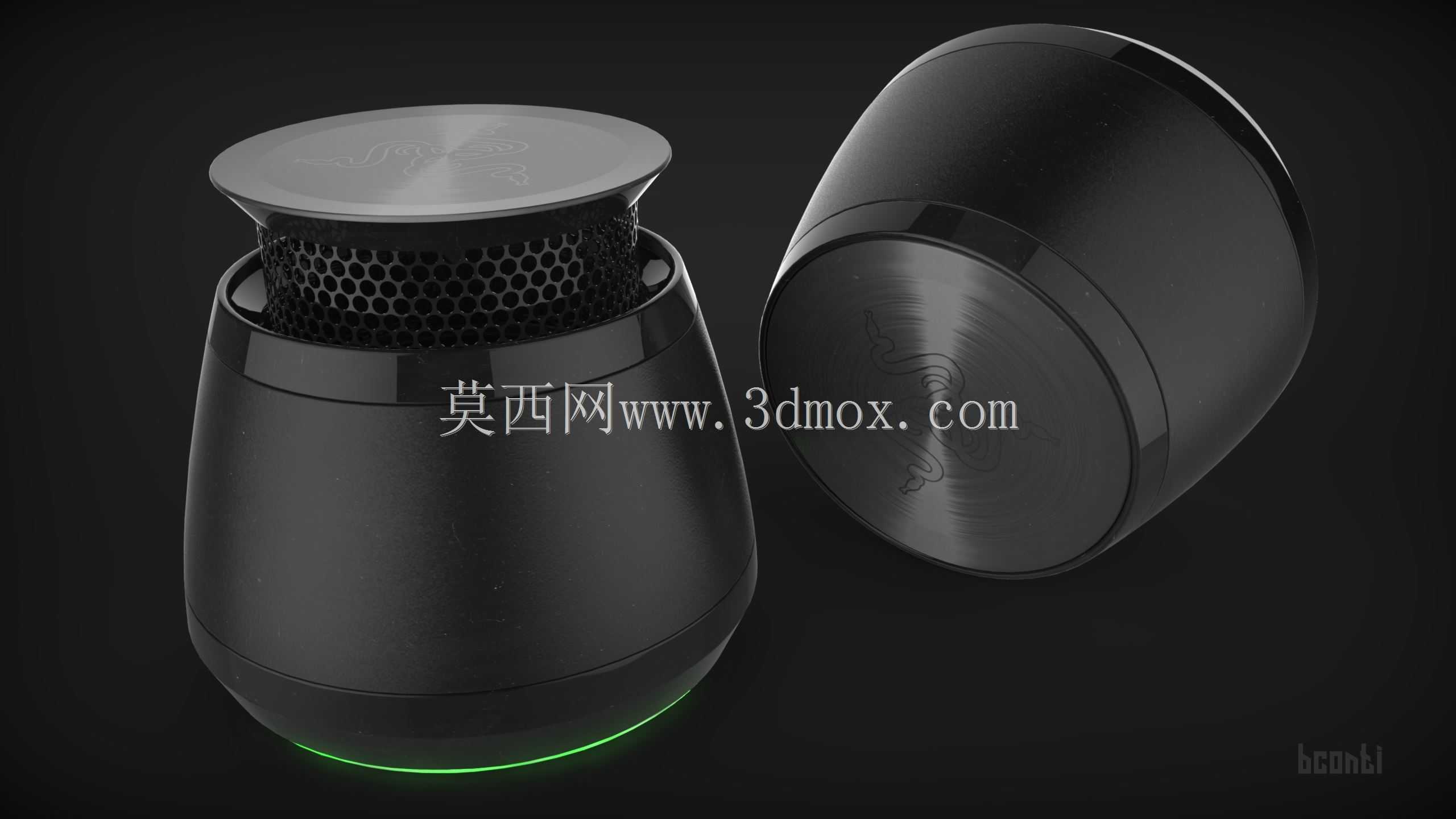 锥齿悍鲨