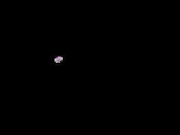 ��ʮ�������׿�Ƚ������ؽṹ���