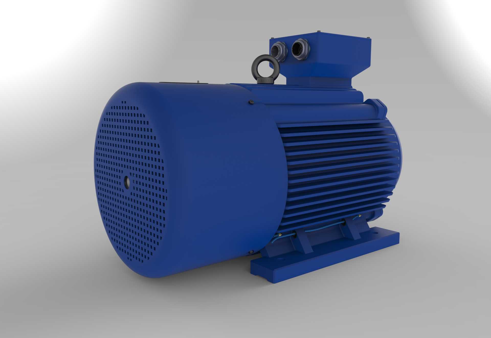 AC Motoren GmbH 315L�綯��