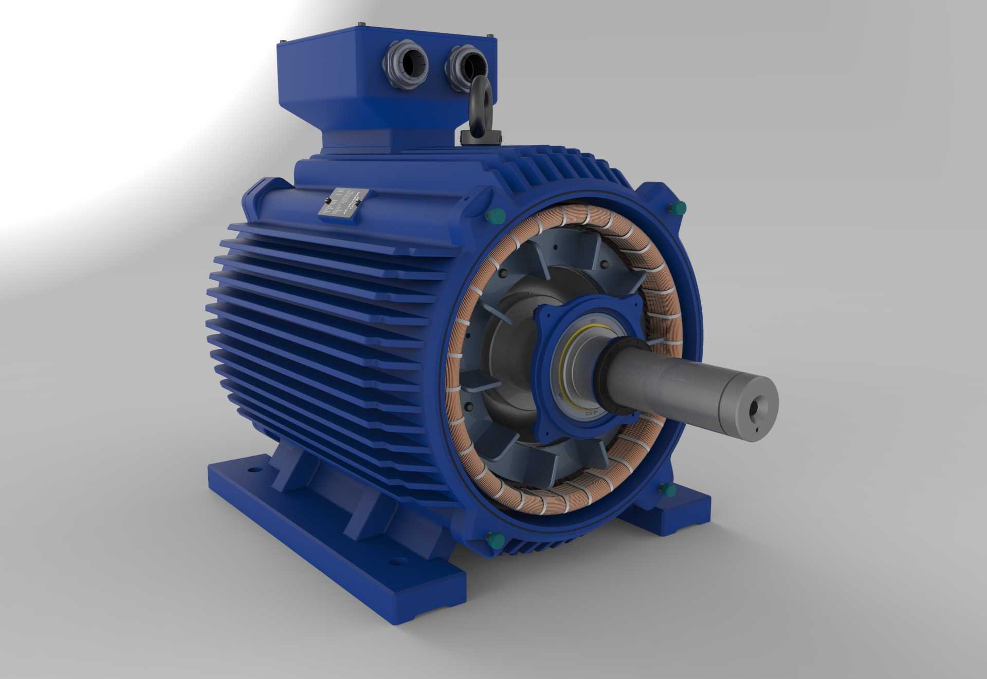 AC Motoren GmbH 315L�綯��