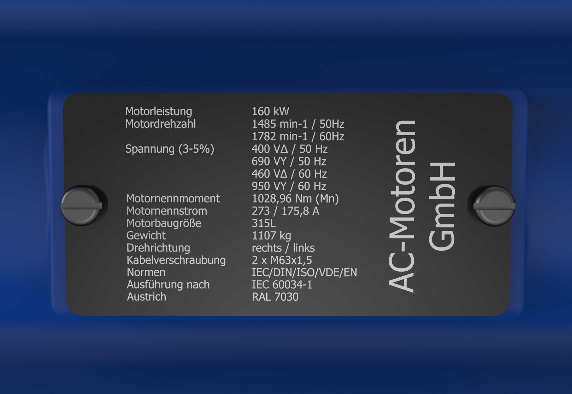 AC Motoren GmbH 315L�綯��
