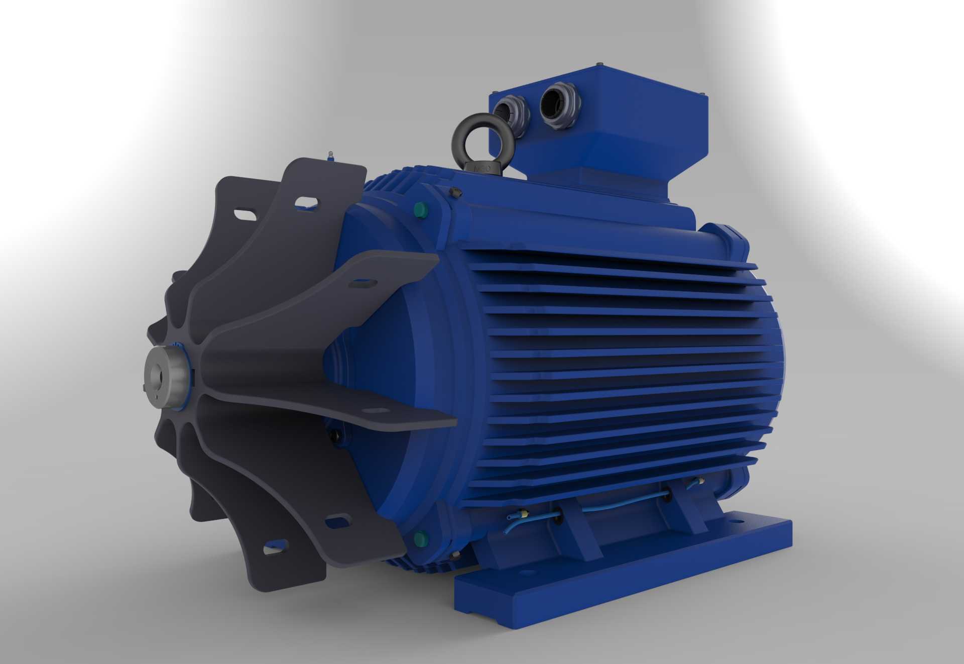 AC Motoren GmbH 315L�綯��