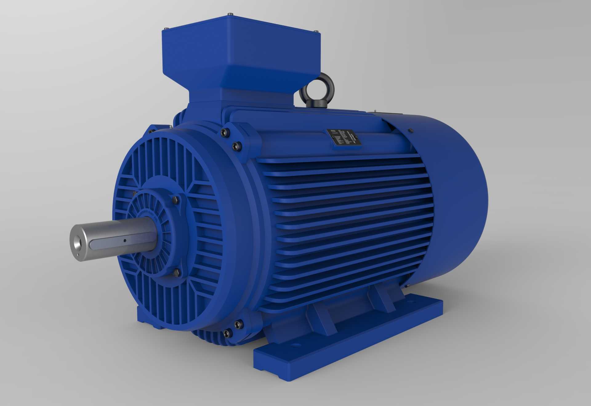 AC Motoren GmbH 315L�綯��