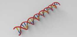����DNA