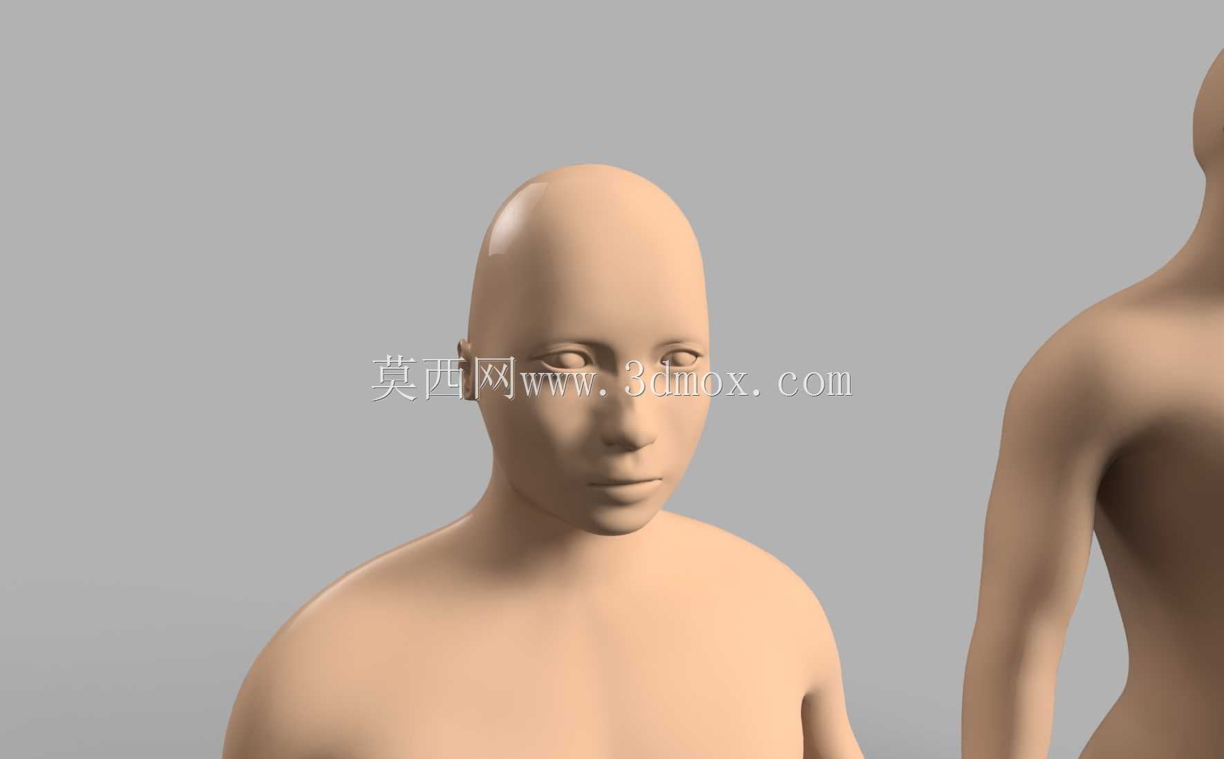 �ǵ�������
