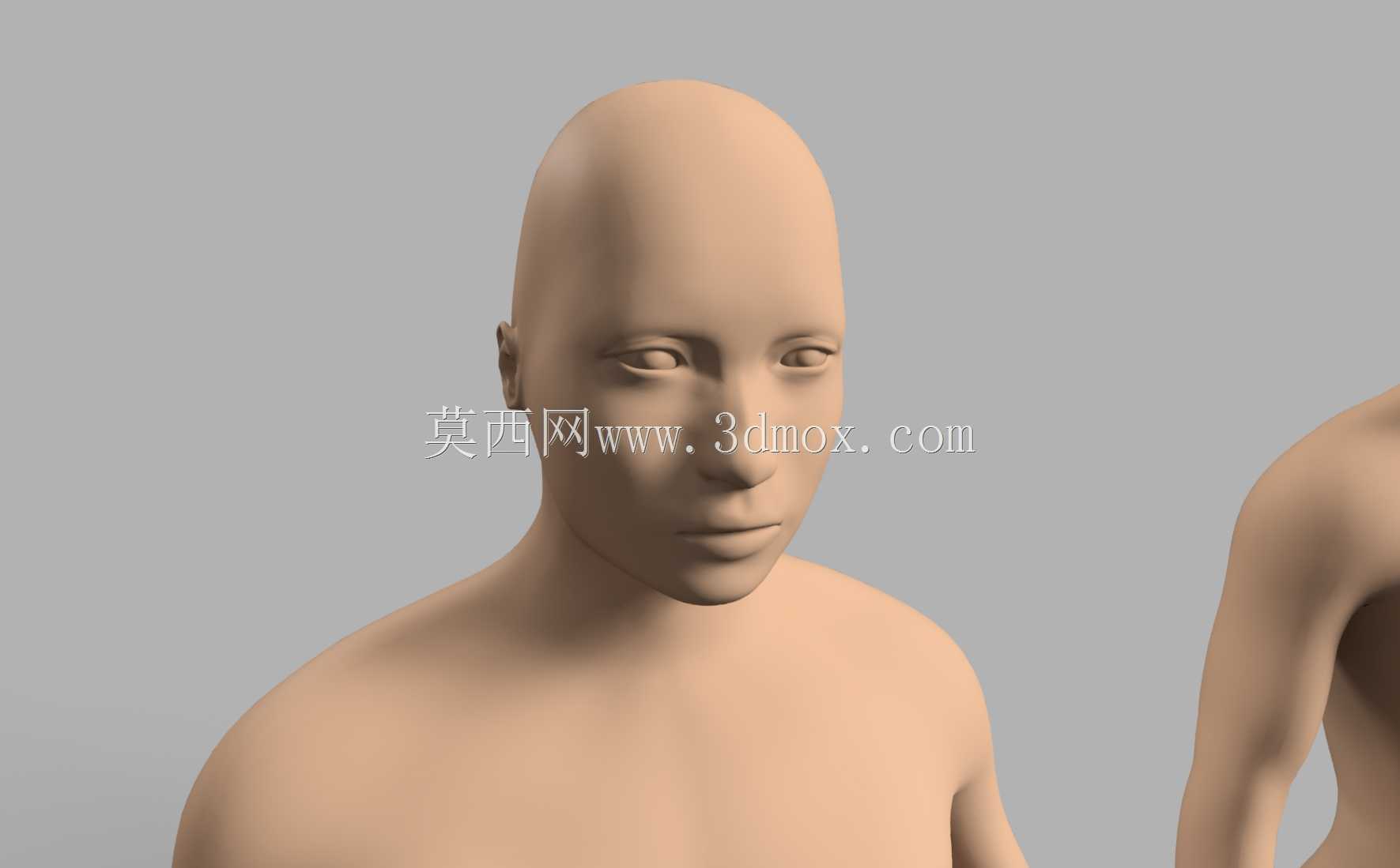 �ǵ�������