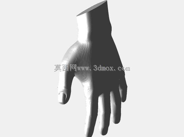 手(从表面到实体)