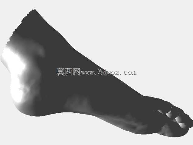 三维扫描平足(右)