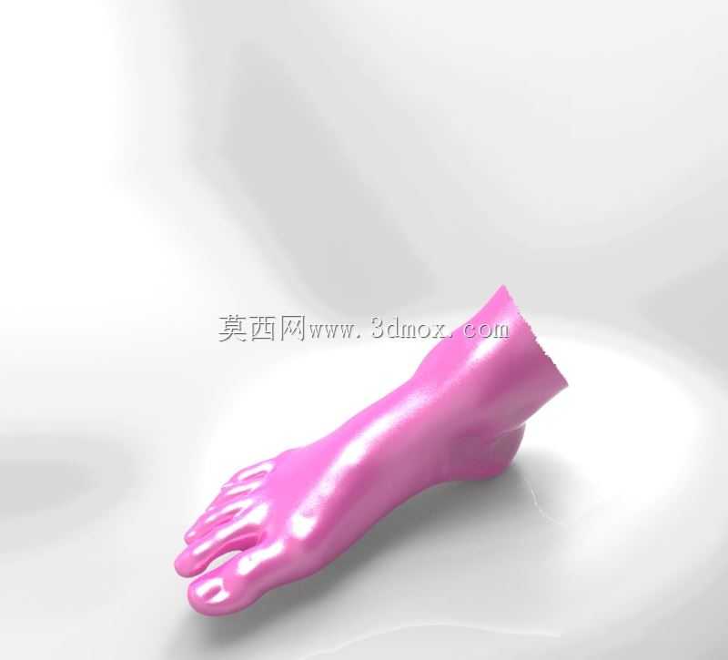 三维扫描平足(右)