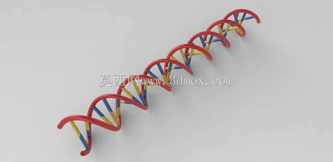人类DNA