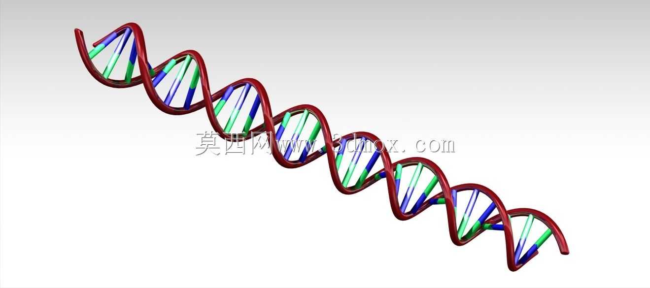人类DNA