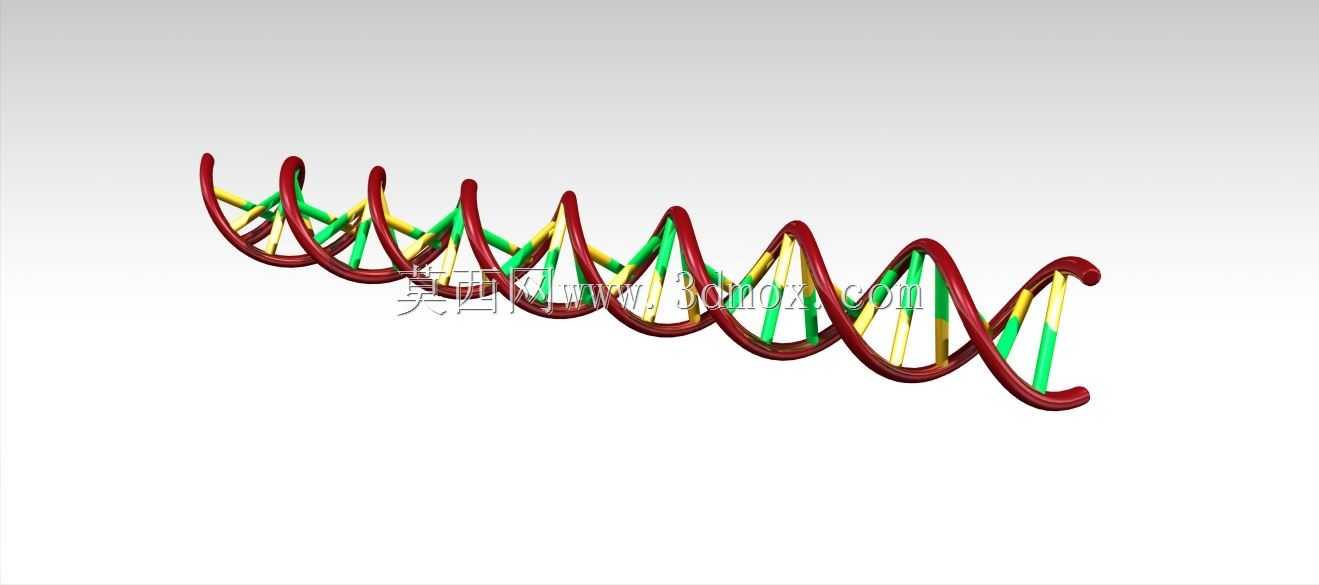 人类DNA