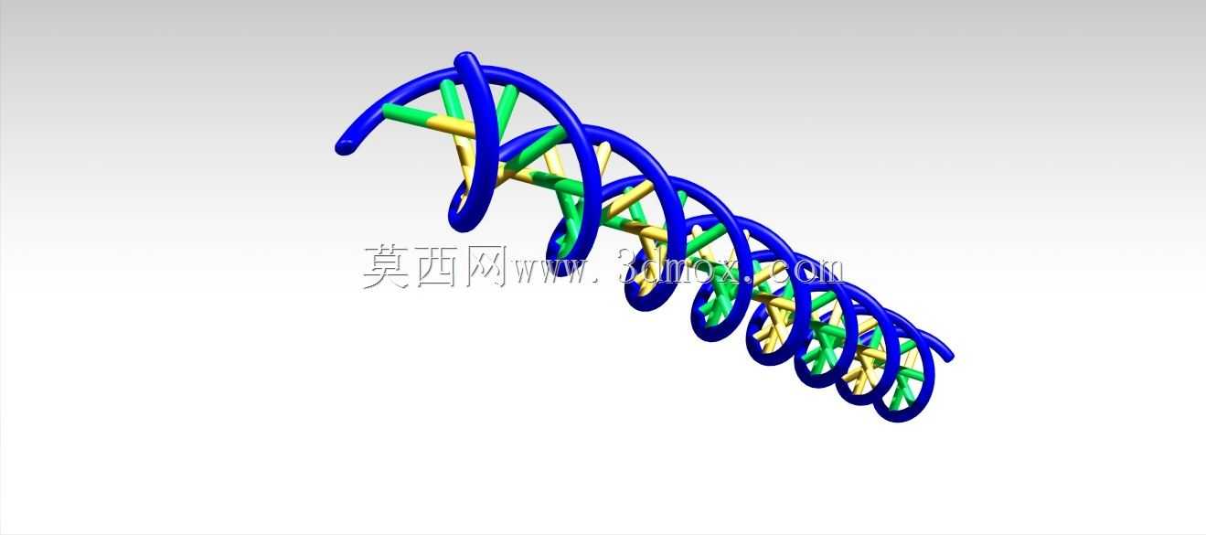 人类DNA