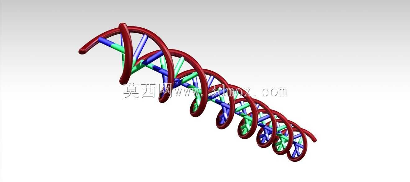 人类DNA