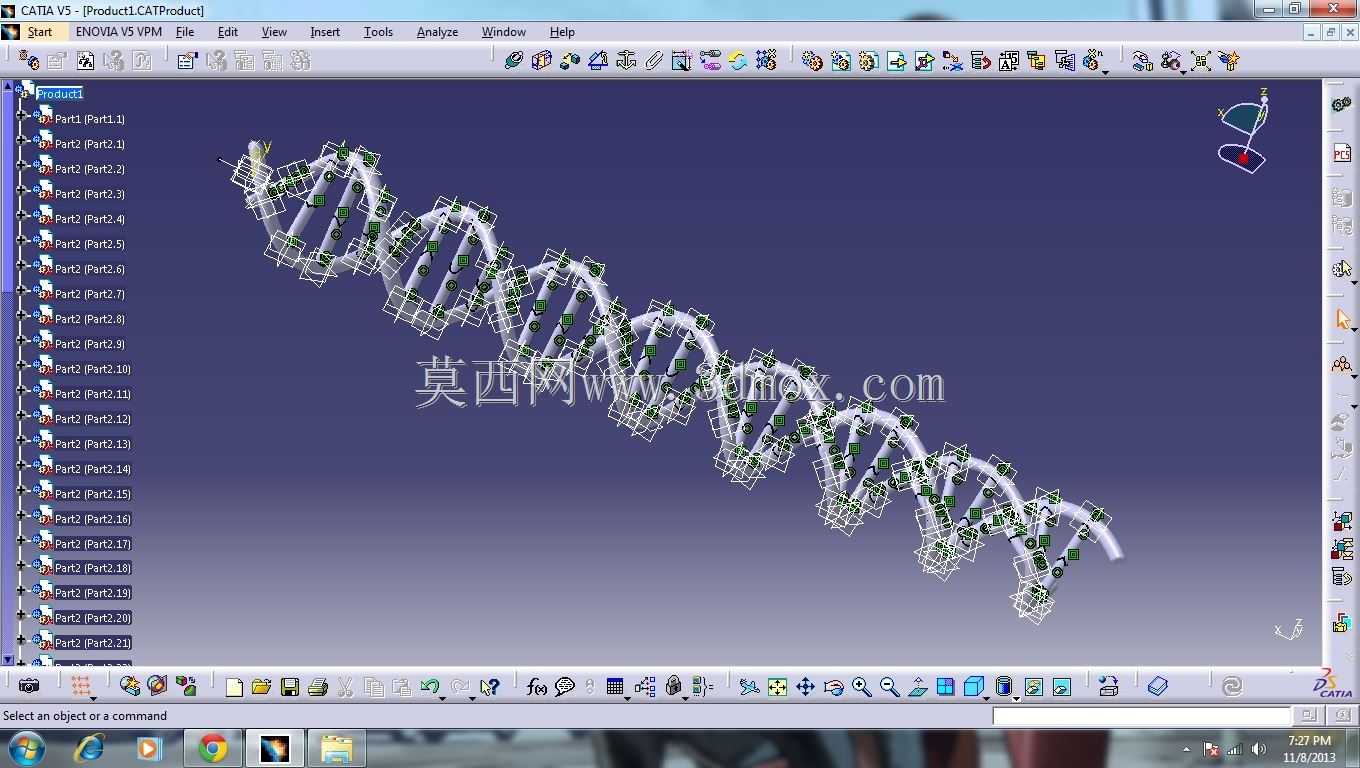 人类DNA