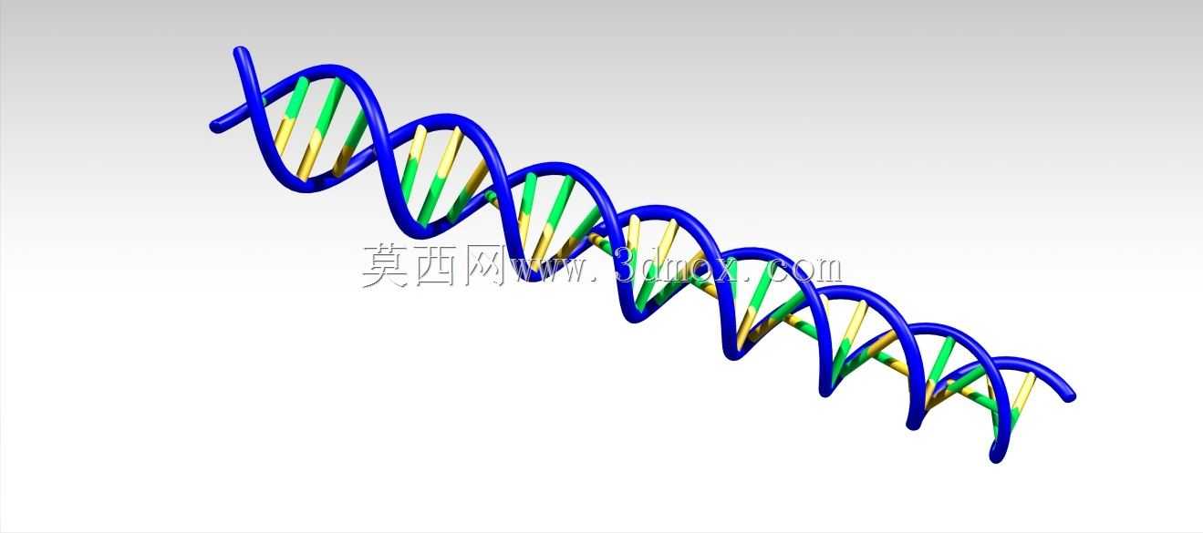 人类DNA