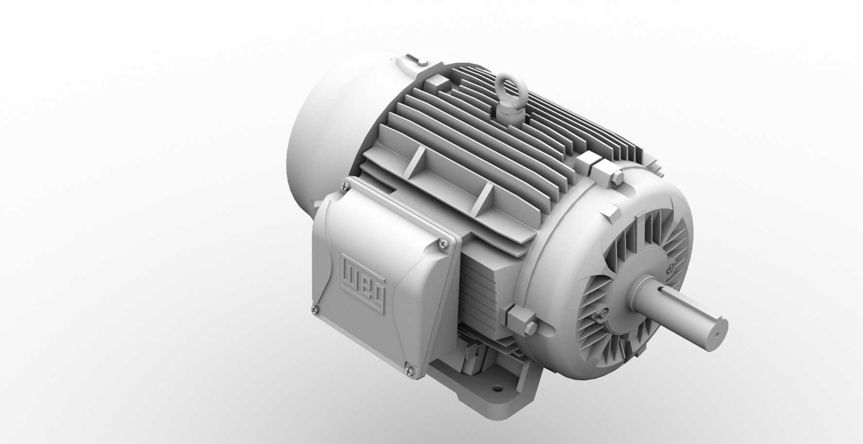WEG���324T