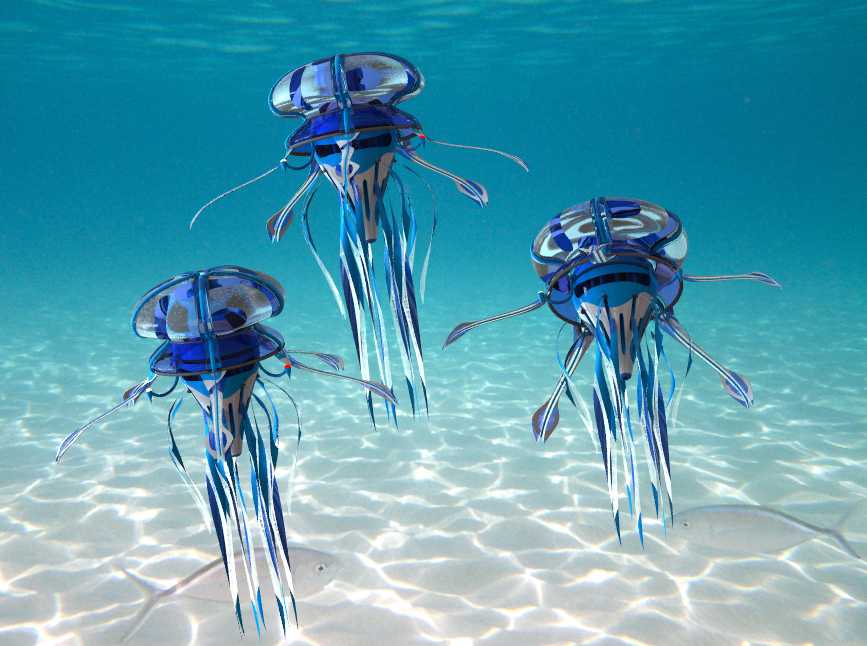 Aurelia Aurita又名水母远程深海探测器概念图