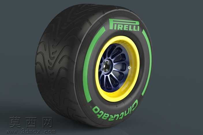 F12013轮胎中间245/670-13(前面)